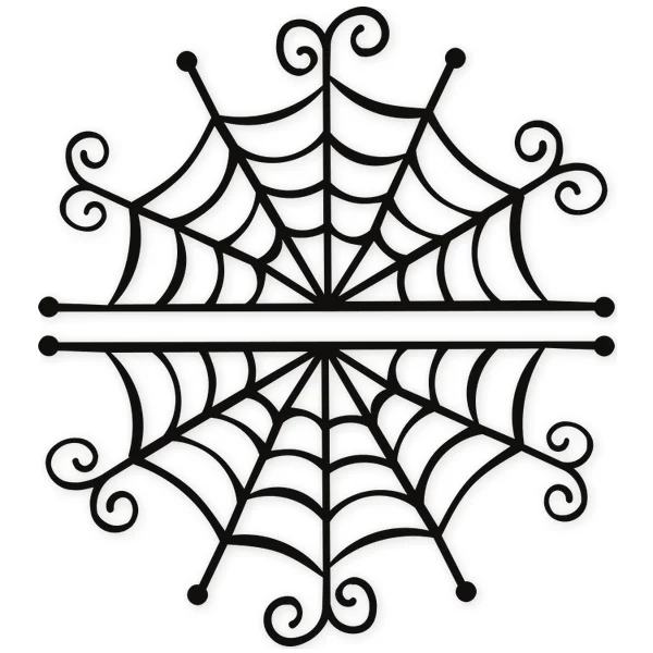 web · spider · insect