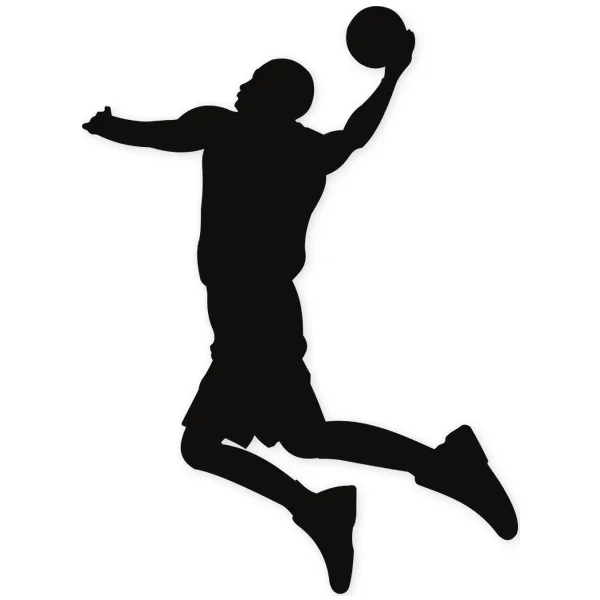 mate · basket · basketball · ball · jump · fly
