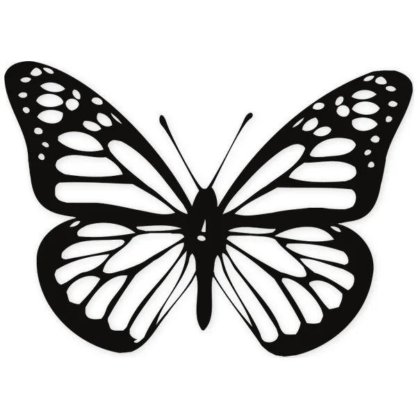 butterfly · wings · insect