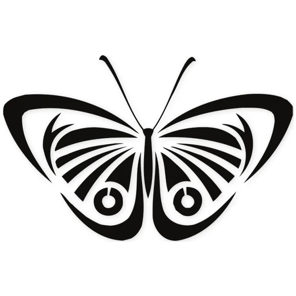 butterfly · wings · insect · fly