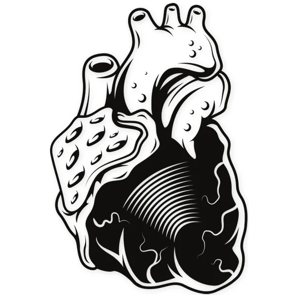 medical · biological · heart