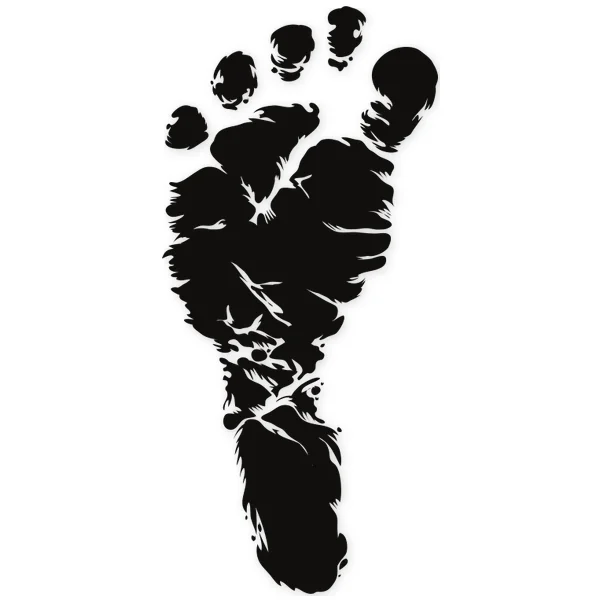 foot ยท footprint