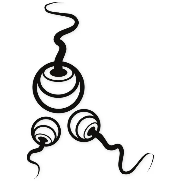 sperm · biological