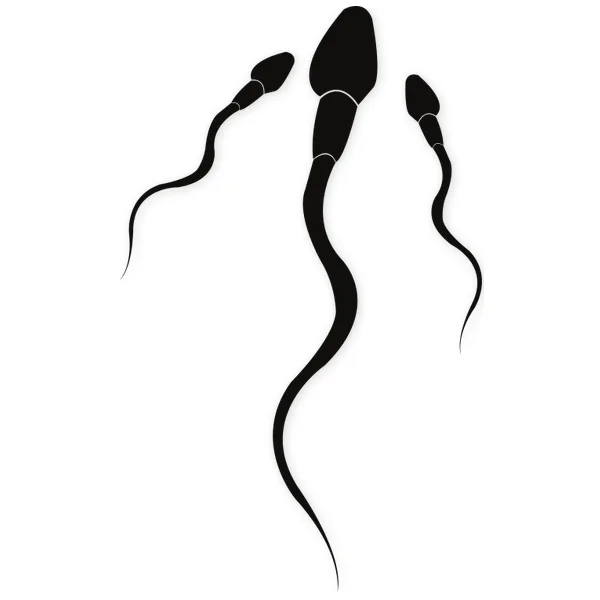 sperm · medical · biological