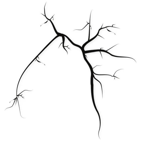 arteries · veins · blood · medical · biological · heart