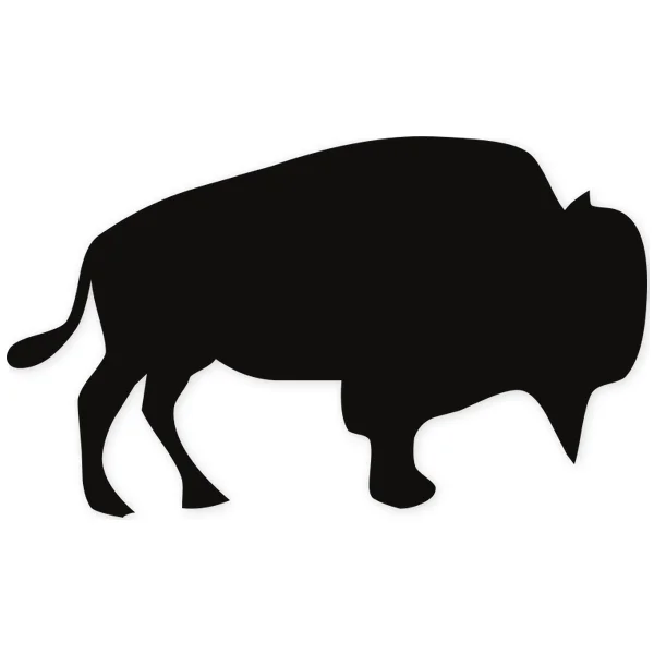 buffalo · bison