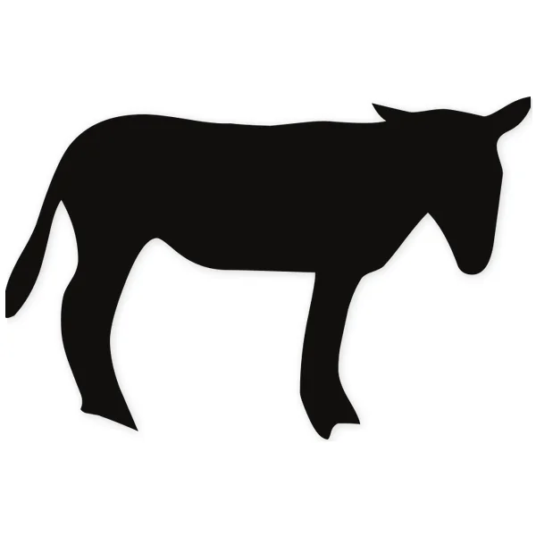 donkey · barcelona