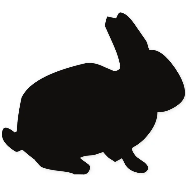 nature · fast · ears · rabbit · running