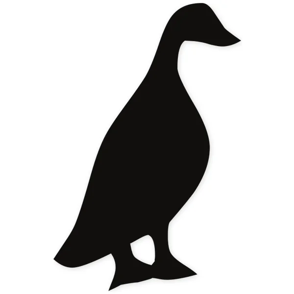 nature · duck · bird