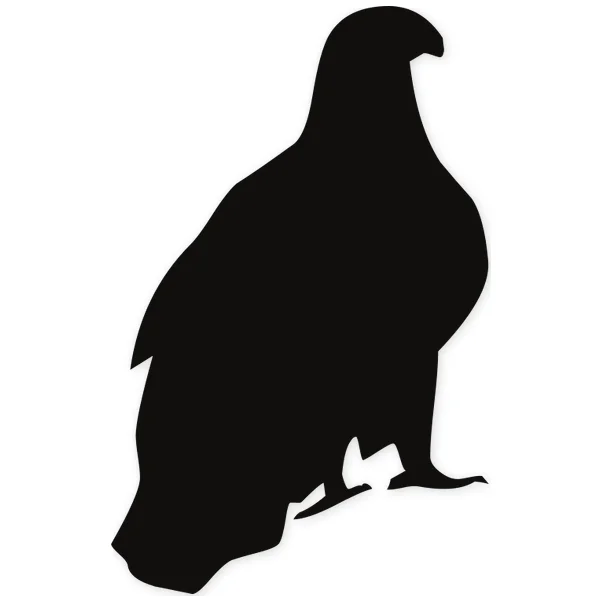 eagle ยท hunter ยท bird ยท fly
