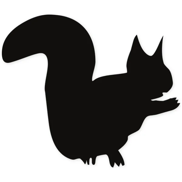 squirrel · nature