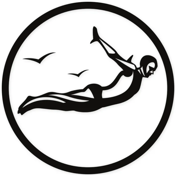 agua · salto · volar