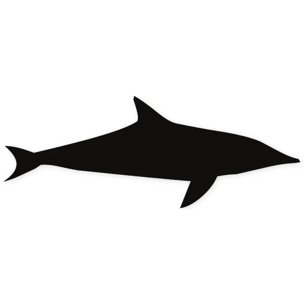 dolphin · fish · swim · water