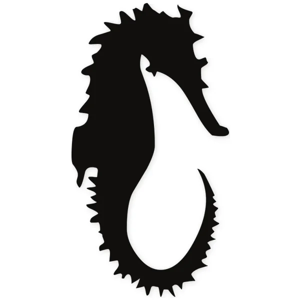 sea horse · water
