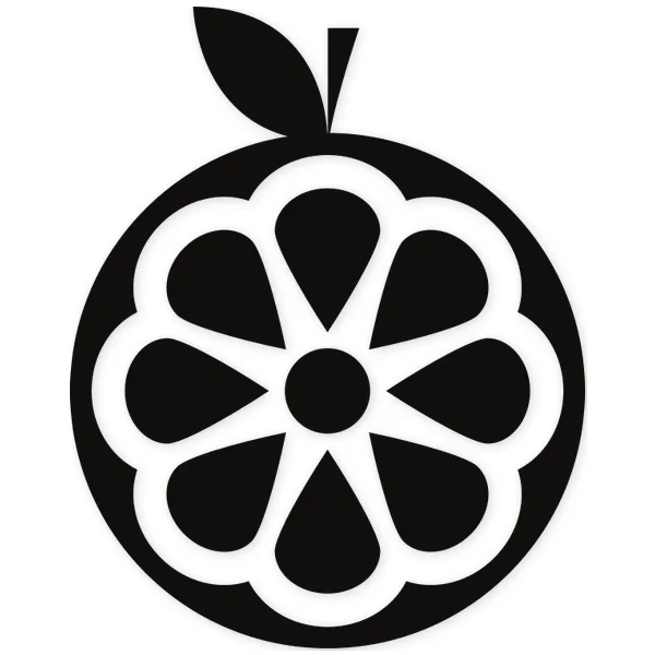 orange · fruit