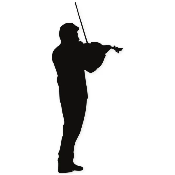 violinist · concert · live · play