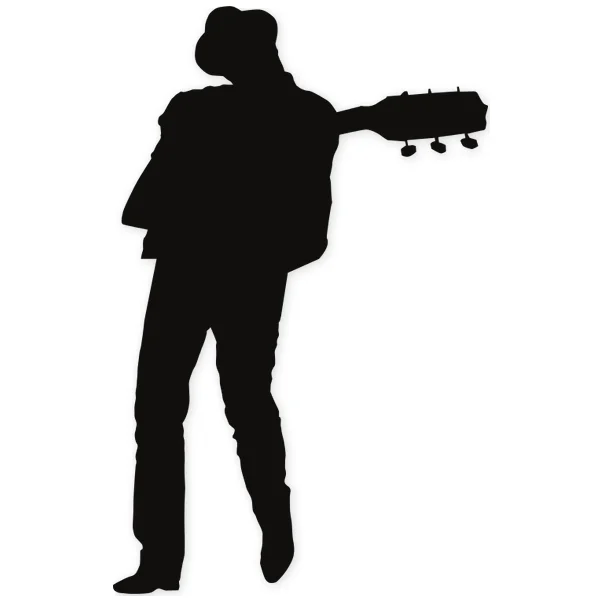concert · live · play · guitar