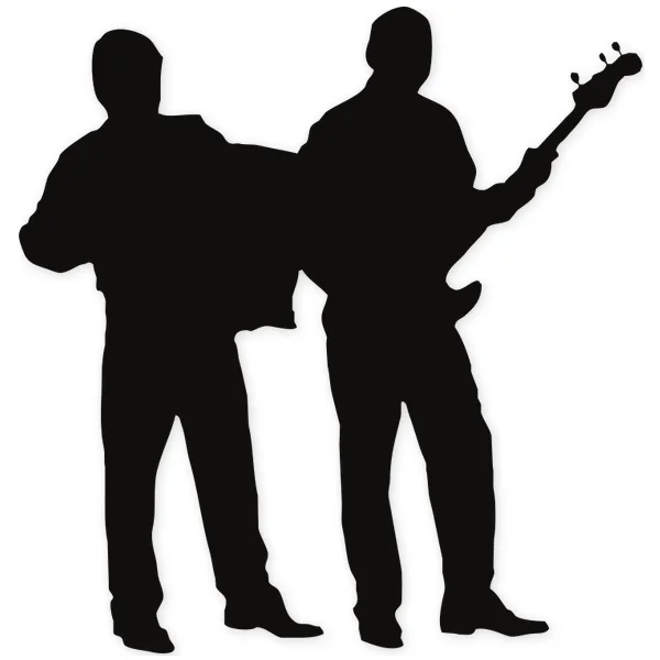 accordion · concert · live · play · guitar