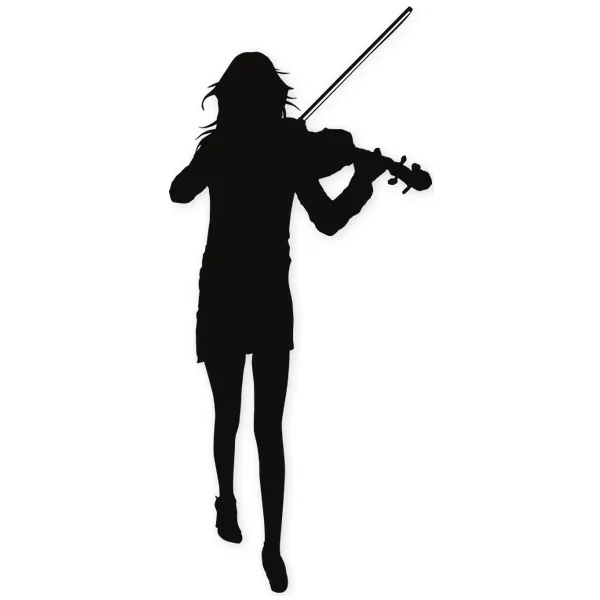 violin · violinist · concert · play