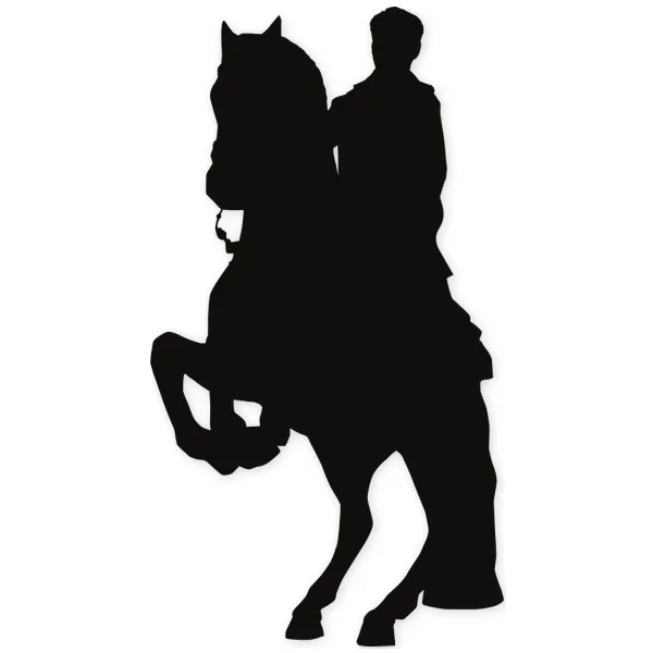rider · hipica · horse