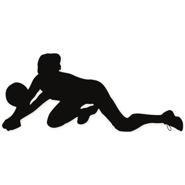 voley · voleyball · ball