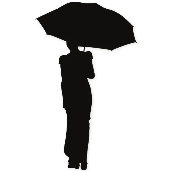 rain · umbrella · geisha · water