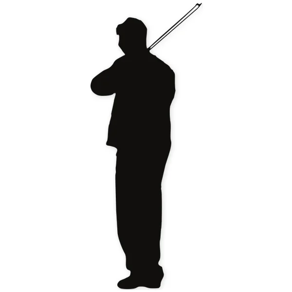 violin · violinist · live · play