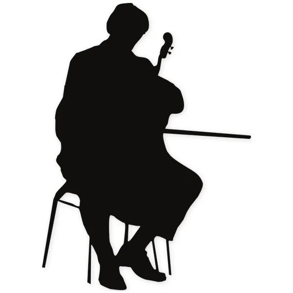 cello · concert · live · play