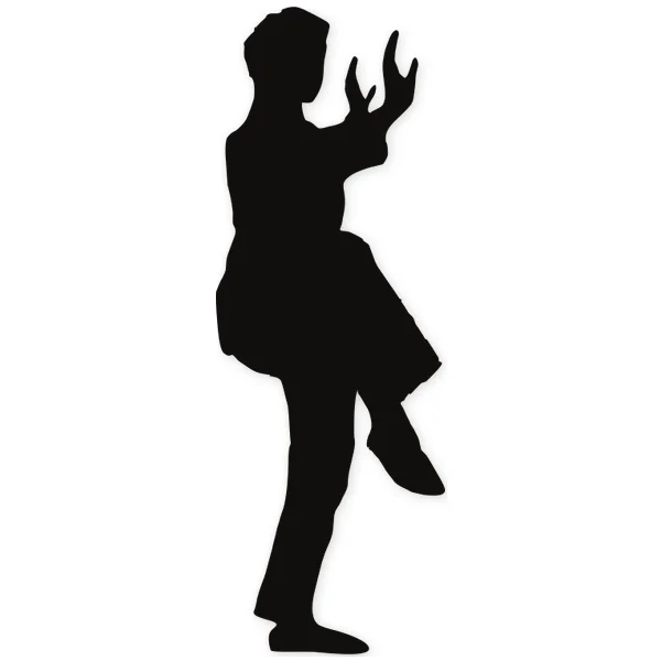 tai chi · martial arts