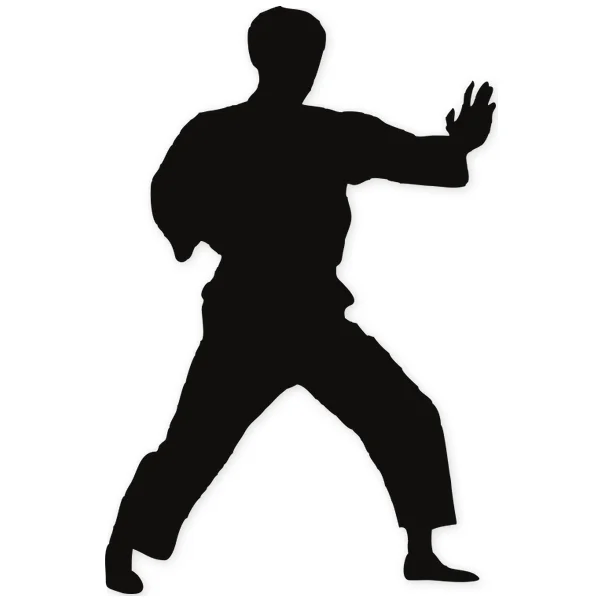 karate · martial arts · fight