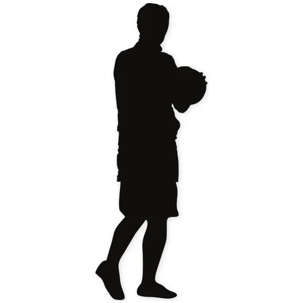 basket · basketball · ball