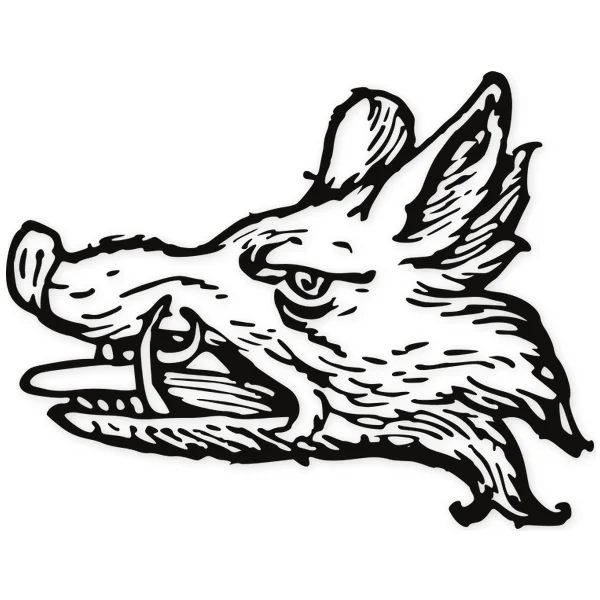 boar · pig · fangs