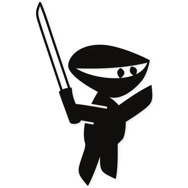 ninja · martial arts · kids