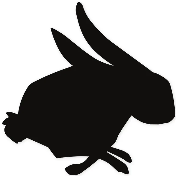fast · ears · rabbit · running