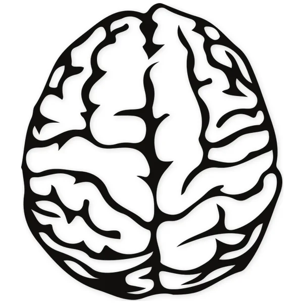 think · brain · medical · head · biological