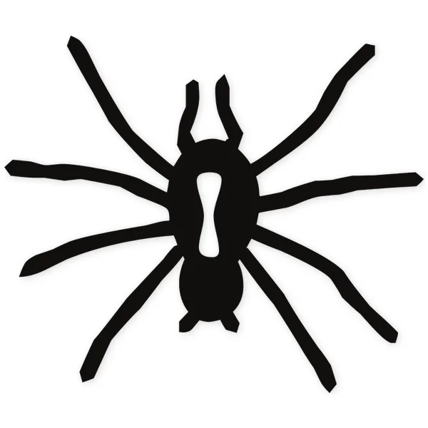 spider · insect