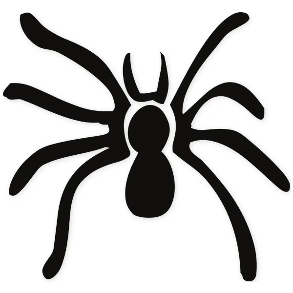 spider · fangs · insect
