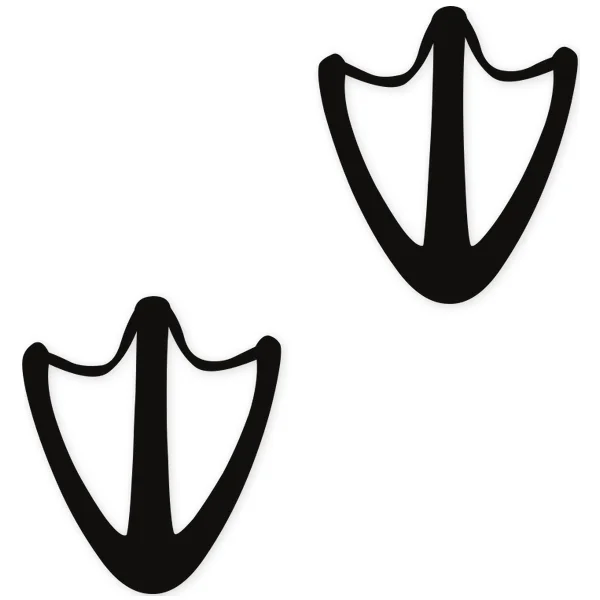 duck · footprint · bird