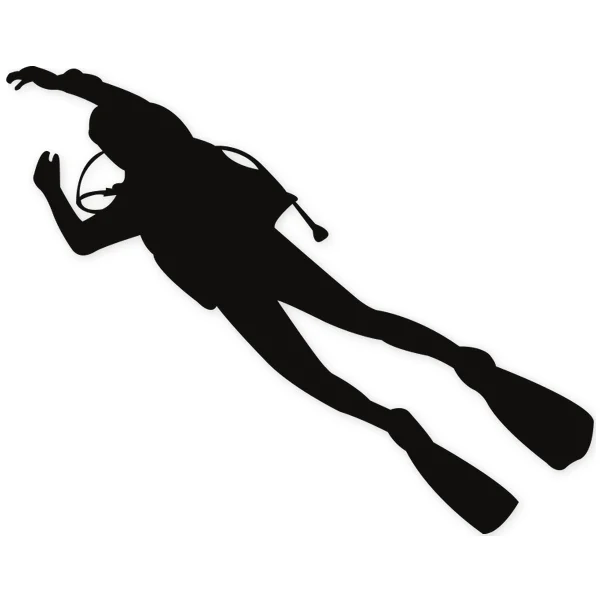 underwater diving · fins · immersion · autonomous diving · scuba diver · dive