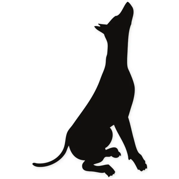 up · dogs