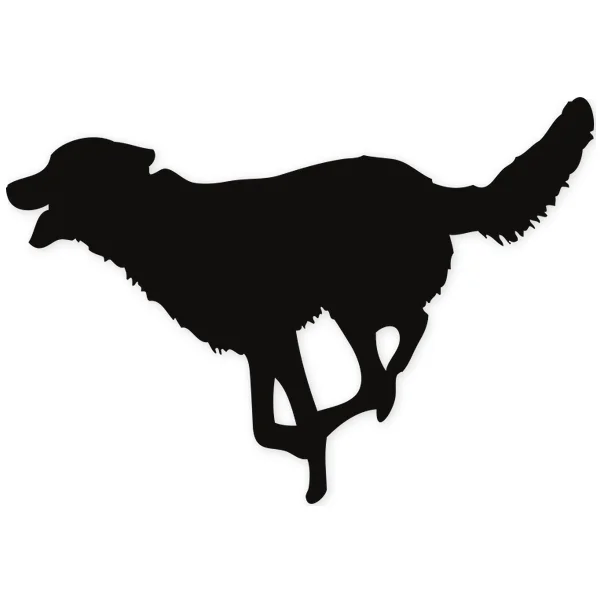 running · dogs