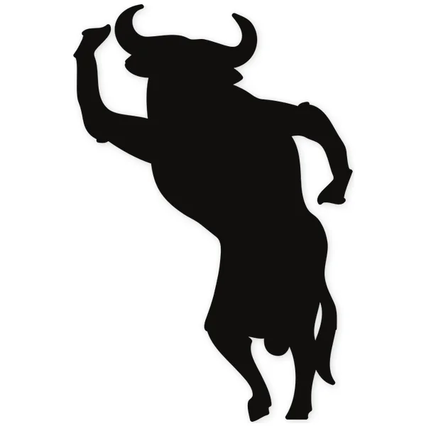 spanish · spain · bull · horns