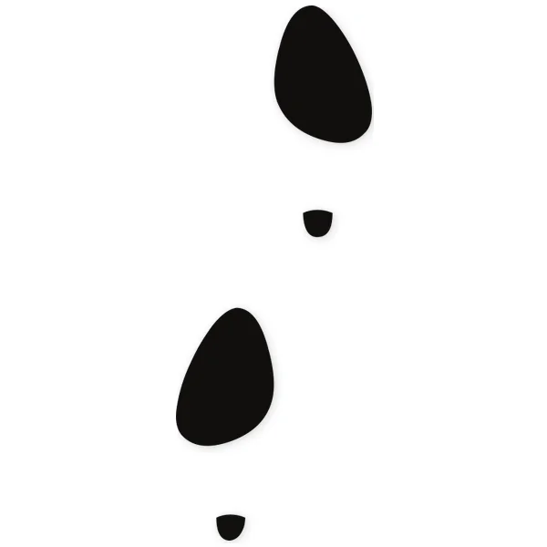 shoe · footprint · walking · heels