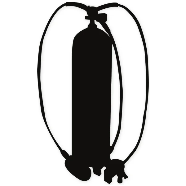 oxygen · gas cylinder · underwater diving · immersion · autonomous diving · scuba diver · dive