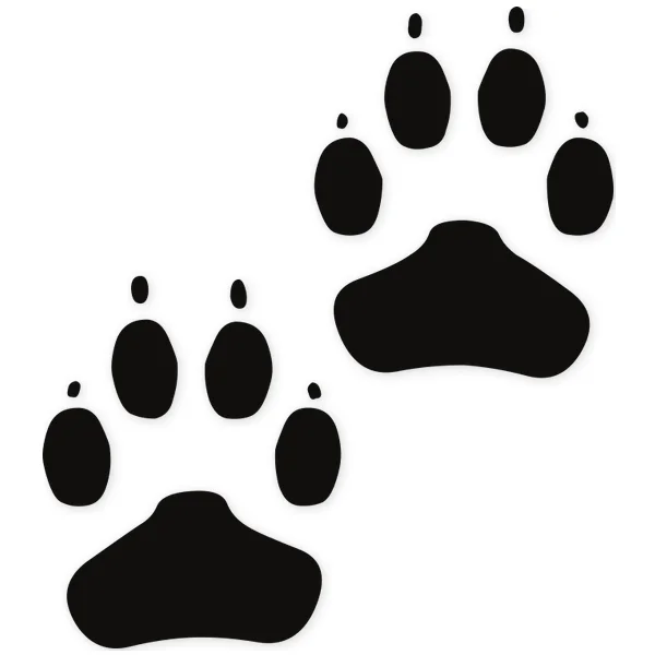 paw ยท footprint ยท cat