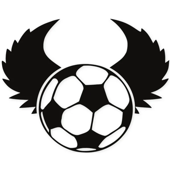 goal · soccer · ball · wings
