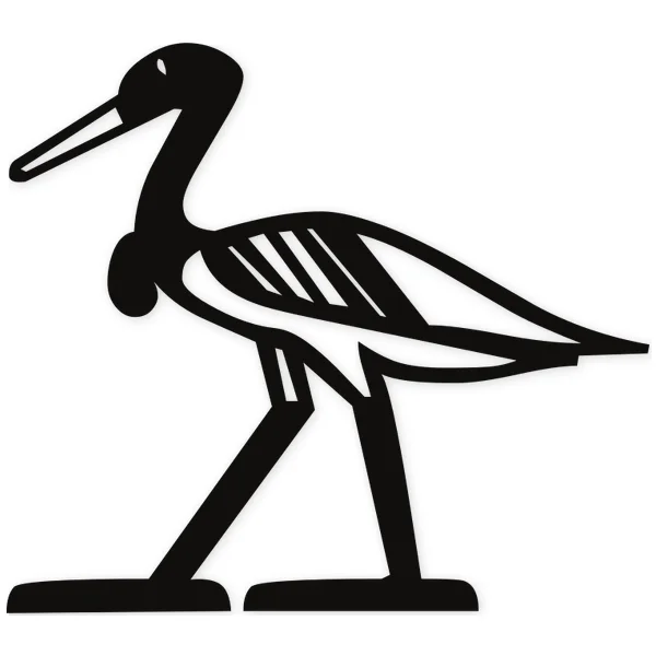 duck · egyptian · bird