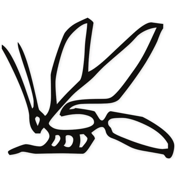 egipcio · insecto · simbolos y heraldica