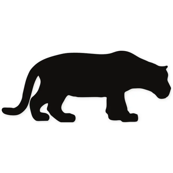 feline ยท tiger ยท lion