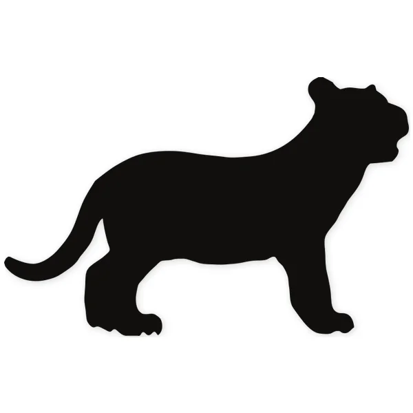 feline ยท tiger ยท lion
